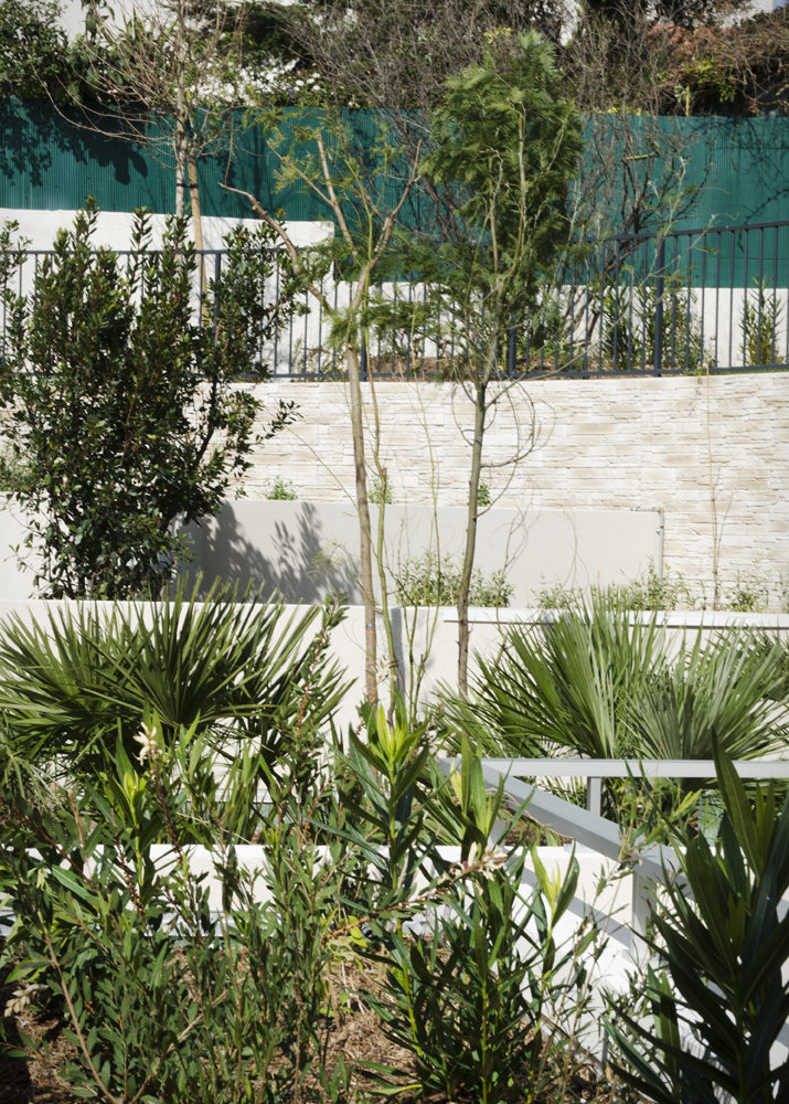 jardin